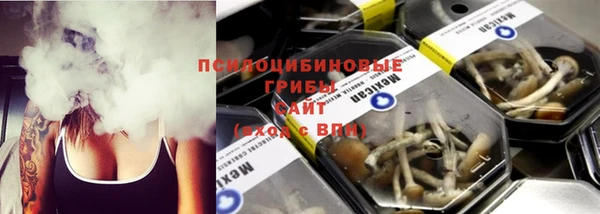 МДПВ Каменка