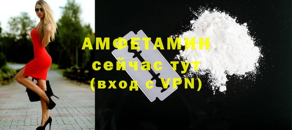 МДПВ Каменка