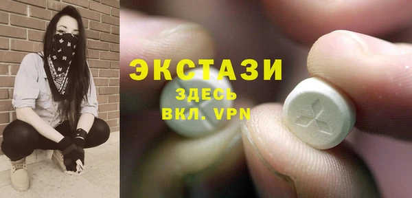 МДПВ Каменка