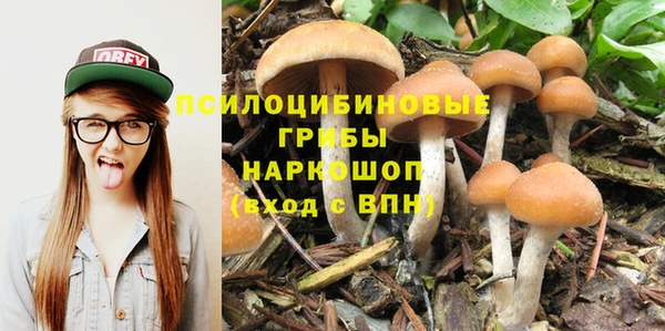 МДПВ Каменка