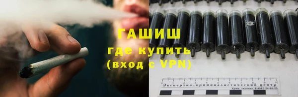МДПВ Каменка