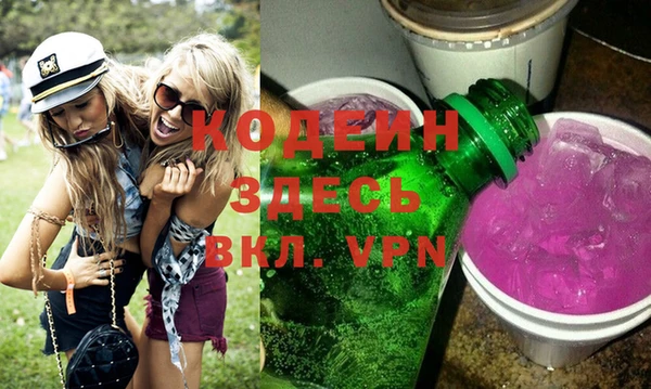 МДПВ Каменка