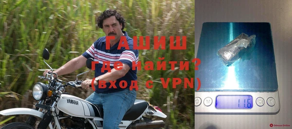 МДПВ Каменка