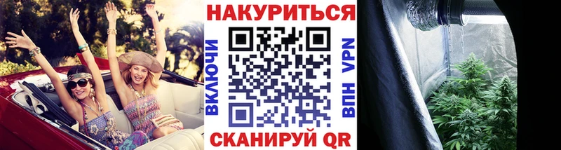 Купить где  Волоколамск  Конопля OG Kush 